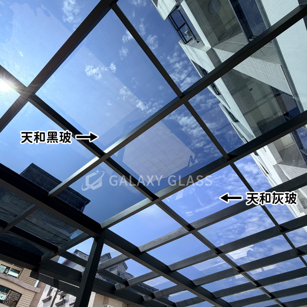 黑與灰02.png